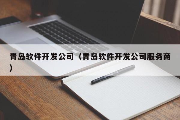 青岛软件开发公司（青岛软件开发公司服务商）