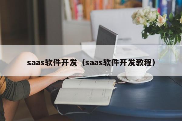 saas软件开发（saas软件开发教程）