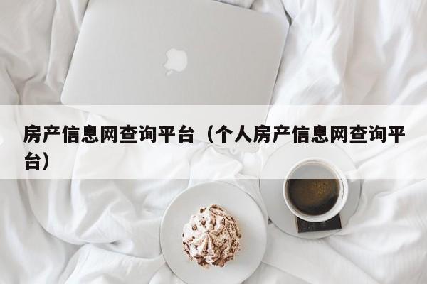 房产信息网查询平台（个人房产信息网查询平台）