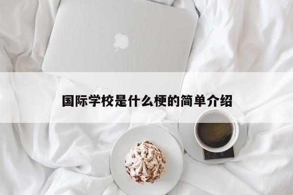 国际学校是什么梗的简单介绍