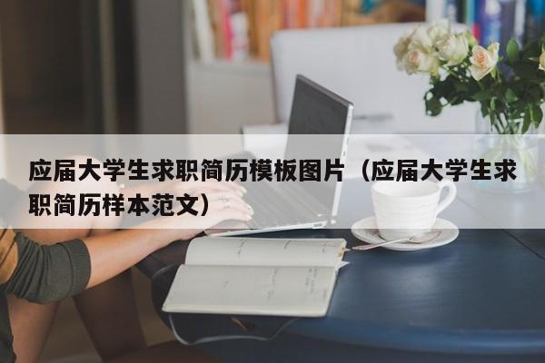 应届大学生求职简历模板图片（应届大学生求职简历样本范文）