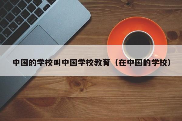 中国的学校叫中国学校教育（在中国的学校）