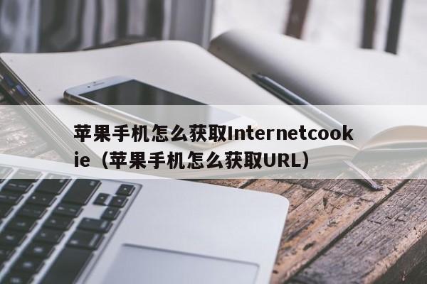 苹果手机怎么获取Internetcookie（苹果手机怎么获取URL）