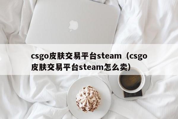 csgo皮肤交易平台steam（csgo皮肤交易平台steam怎么卖）