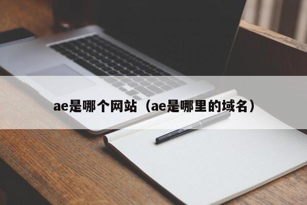 ae是哪个网站（ae是哪里的域名）