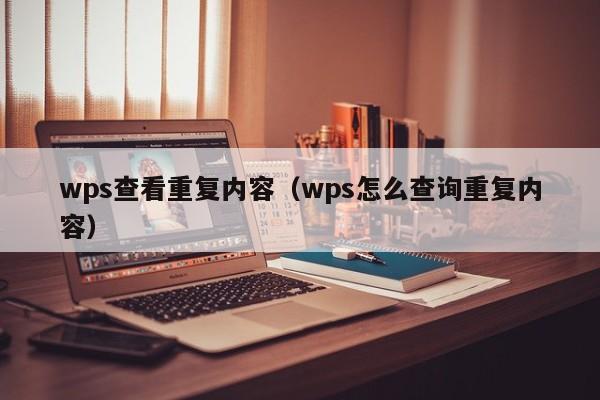 wps查看重复内容（wps怎么查询重复内容）