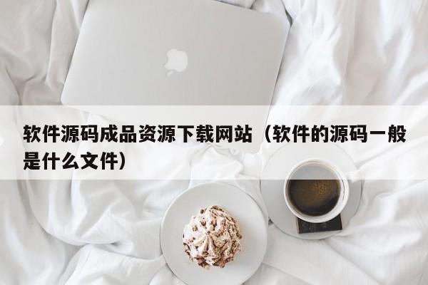 软件源码成品资源下载网站（软件的源码一般是什么文件）