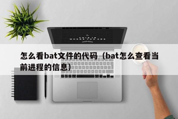 怎么看bat文件的代码（bat怎么查看当前进程的信息）