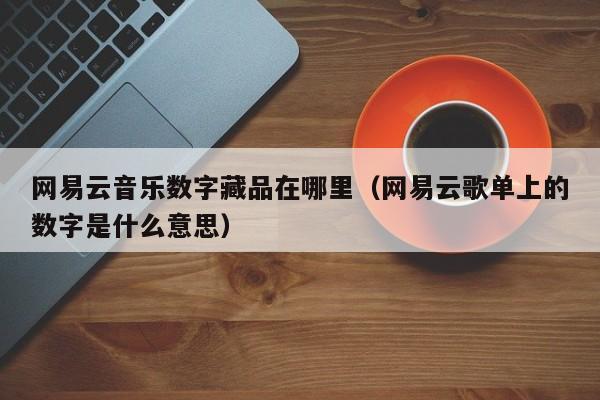 网易云音乐数字藏品在哪里（网易云歌单上的数字是什么意思）