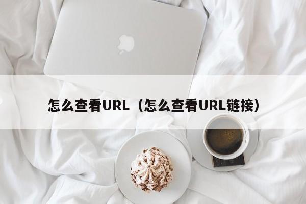 怎么查看URL（怎么查看URL链接）