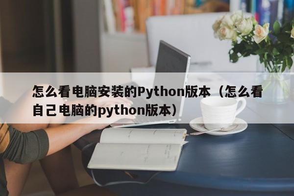 怎么看电脑安装的Python版本（怎么看自己电脑的python版本）