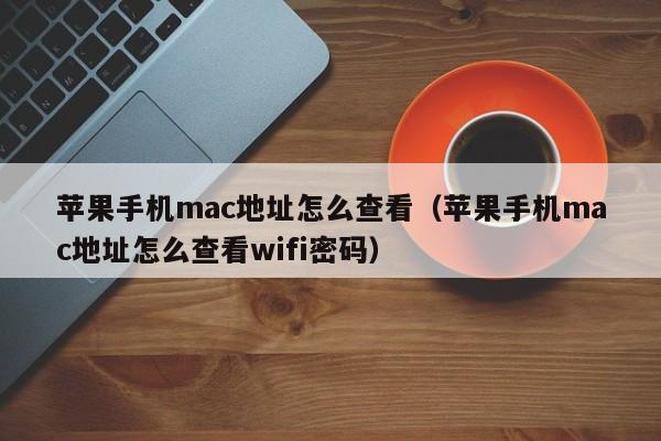 苹果手机mac地址怎么查看（苹果手机mac地址怎么查看wifi密码）