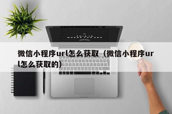 微信小程序url怎么获取（微信小程序url怎么获取的）