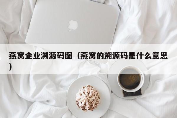 燕窝企业溯源码图（燕窝的溯源码是什么意思）