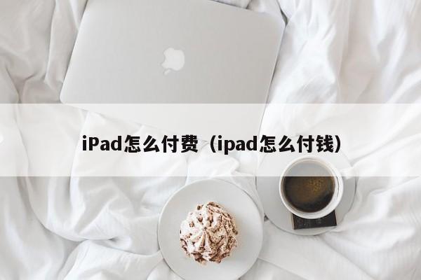 iPad怎么付费（ipad怎么付钱）