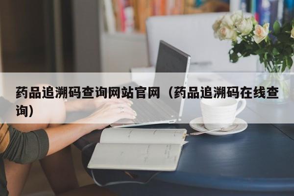 药品追溯码查询网站官网（药品追溯码在线查询）