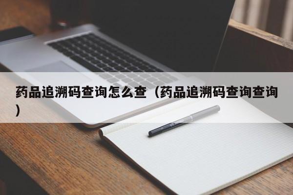 药品追溯码查询怎么查（药品追溯码查询查询）