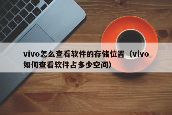 vivo怎么查看软件的存储位置（vivo如何查看软件占多少空间）