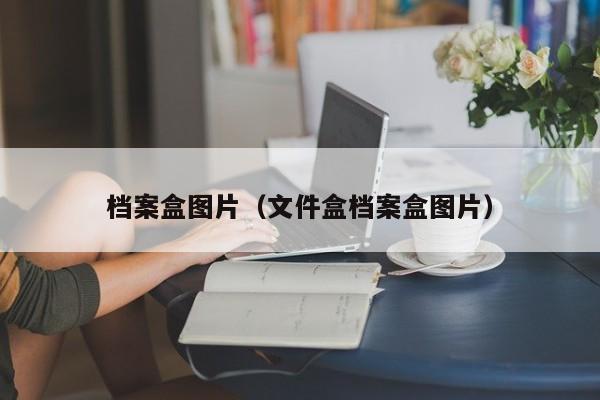 档案盒图片（文件盒档案盒图片）