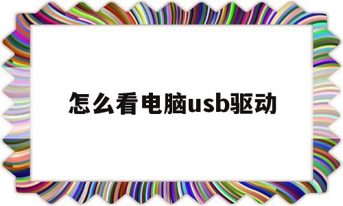 怎么看电脑usb驱动(怎么看电脑usb驱动安装了哪个)