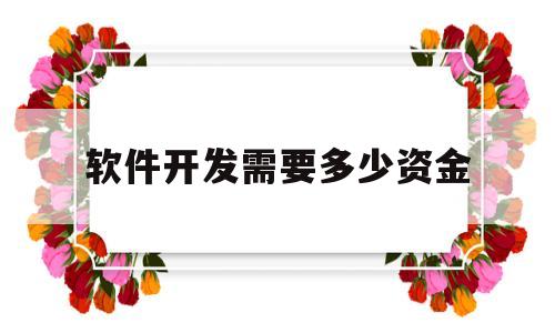 软件开发需要多少资金(软件开发需要多少资金用途如何写)