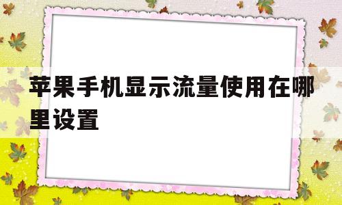 苹果手机显示流量使用在哪里设置(苹果手机显示流量使用在哪里设置的)