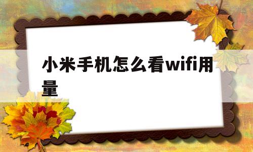 小米手机怎么看wifi用量(小米手机怎么看wifi用量多少)