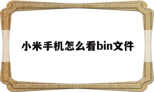 小米手机怎么看bin文件(小米手机怎么看bin文件夹)