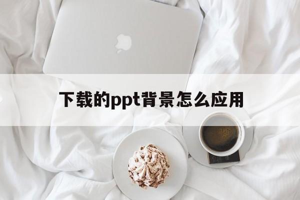 下载的ppt背景怎么应用(下载的ppt背景怎么应用到手机)