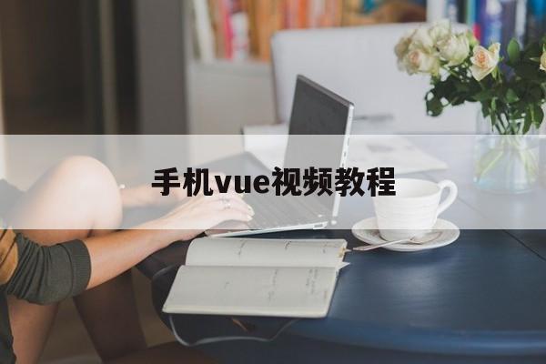 手机vue视频教程(手机vue使用教程视频)