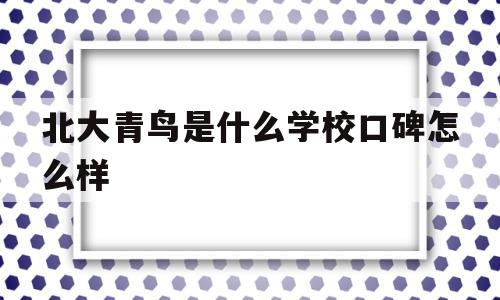 北大青鸟是什么学校口碑怎么样(北大青鸟是正规学校吗?学历国家承认吗)