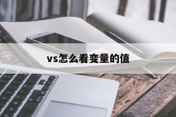 vs怎么看变量的值(vs调试怎么看变量的值)