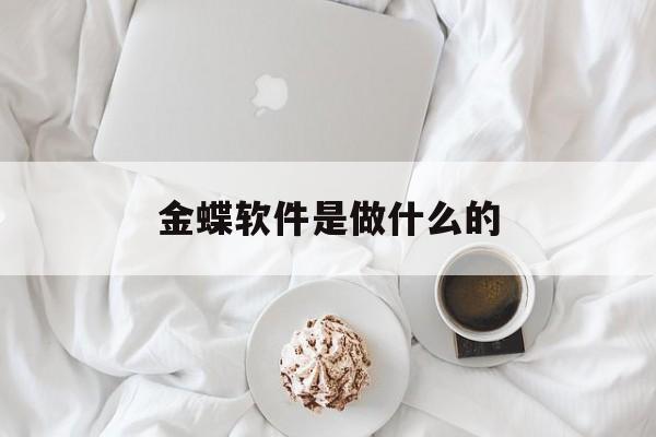 金蝶软件是做什么的(金蝶软件是做什么的公司)