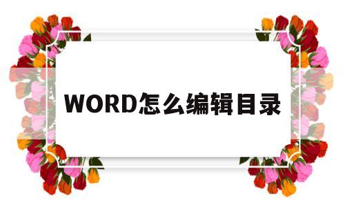 WORD怎么编辑目录(word怎么编辑目录页码格式)