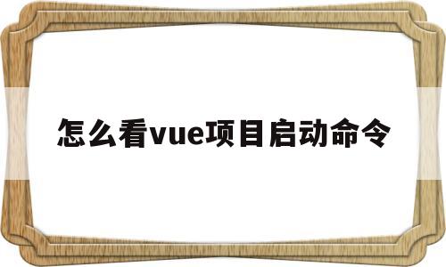 怎么看vue项目启动命令(一个vue项目怎么的看从哪里开始)