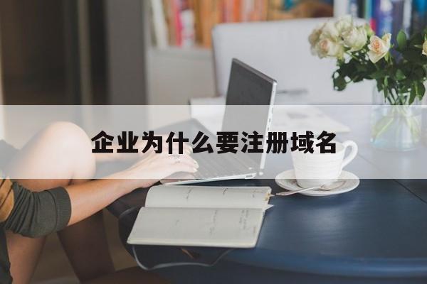 企业为什么要注册域名(为什么有些企业在注册域名时采用多域名策略)