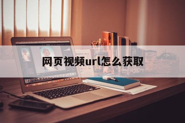 网页视频url怎么获取(网页视频url怎么获取不了)