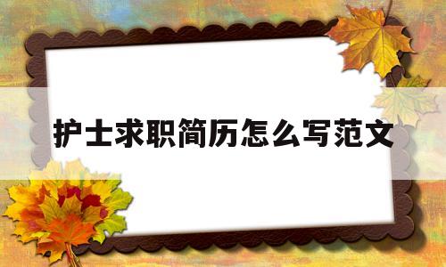 护士求职简历怎么写范文(护士求职简历工作内容怎么写)