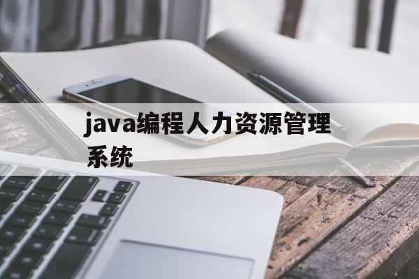 java编程人力资源管理系统(java人力资源管理系统 在线)