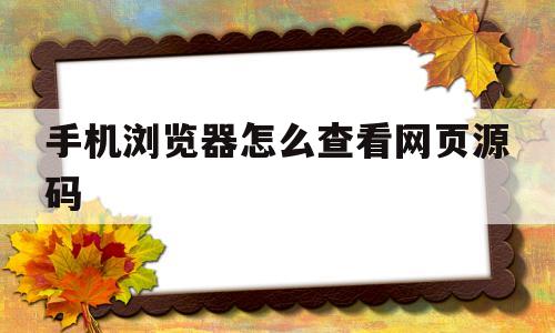 手机浏览器怎么查看网页源码(手机浏览器查看网页源代码方法)