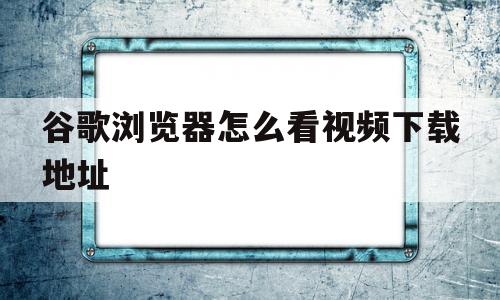 谷歌浏览器怎么看视频下载地址(谷歌浏览器怎么看视频下载地址呢)