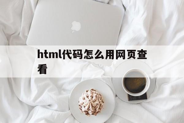 html代码怎么用网页查看(html代码怎么用网页查看内容)