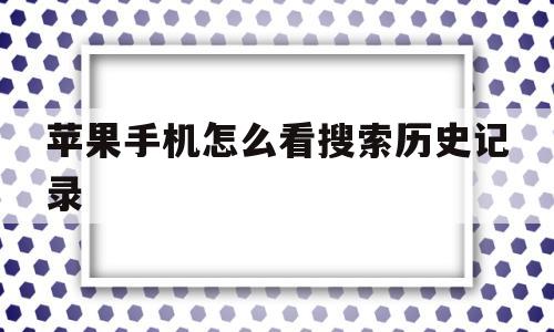 苹果手机怎么看搜索历史记录(苹果手机怎么看搜索历史记录内容)