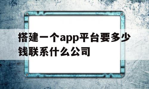 包含搭建一个app平台要多少钱联系什么公司的词条