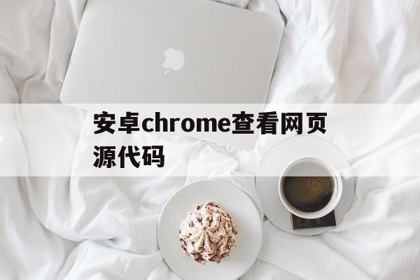 安卓chrome查看网页源代码(手机谷歌浏览器如何查看网页源代码)