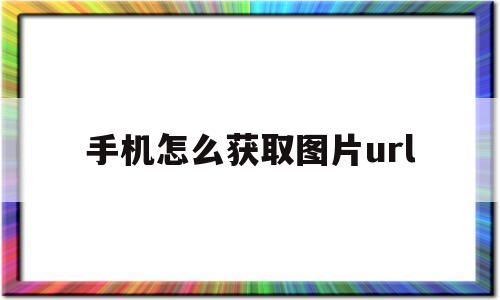 手机怎么获取图片url(手机怎么获取图片的url地址)