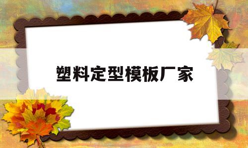 塑料定型模板厂家(塑料模具加工和模具制造)