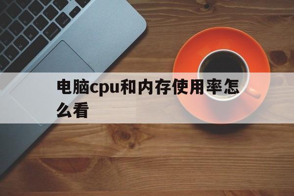 电脑cpu和内存使用率怎么看(电脑cpu和内存使用率怎么看多少)