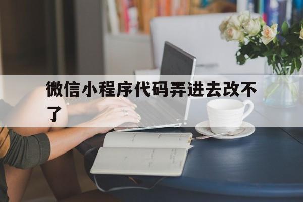 微信小程序代码弄进去改不了(微信小程序代码弄进去改不了怎么办)