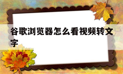 谷歌浏览器怎么看视频转文字(谷歌浏览器可以把英文视频翻译成中文吗)